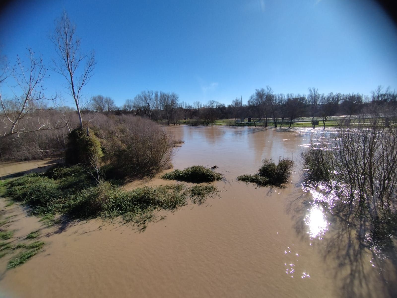 whatsapp-image-2024-01-20-at-13-52-05-1