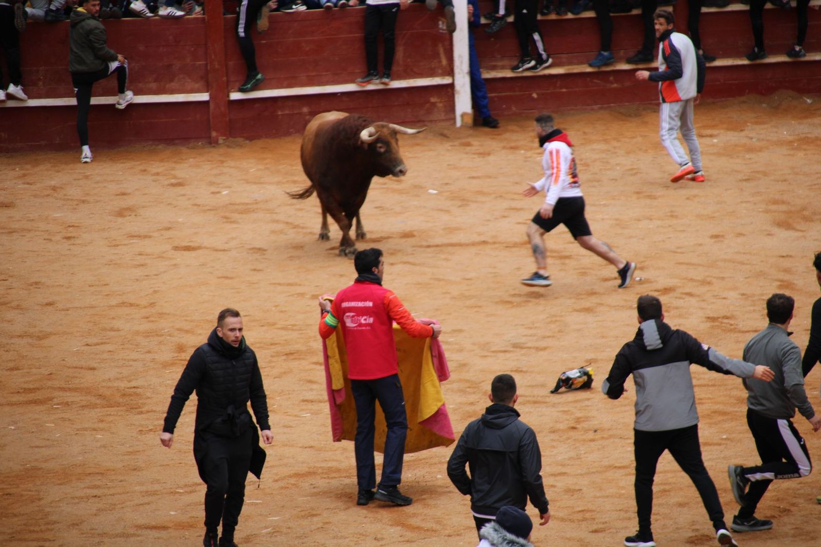 whatsapp-image-2025-03-01-at-13-18-34