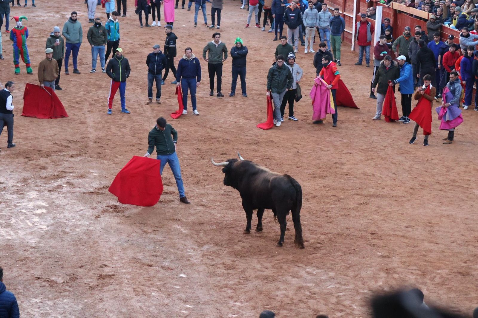 20240210184425-img-6006