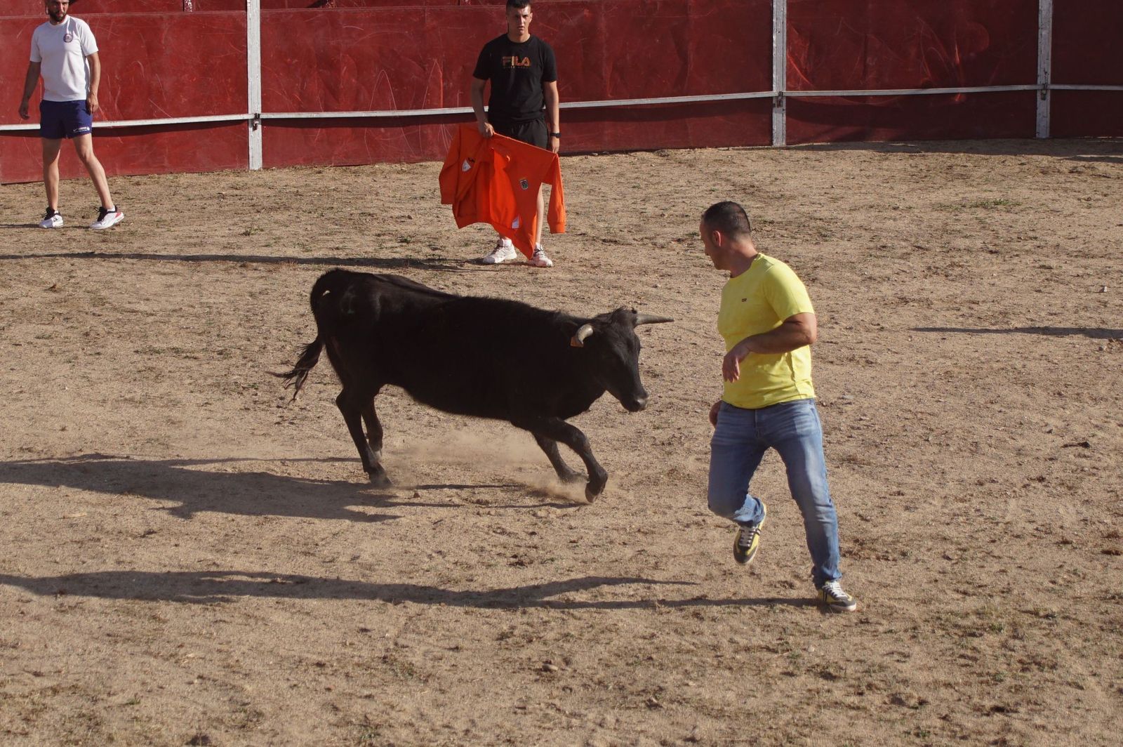 capea-fiestas-de-carrascal-de-barregas-22