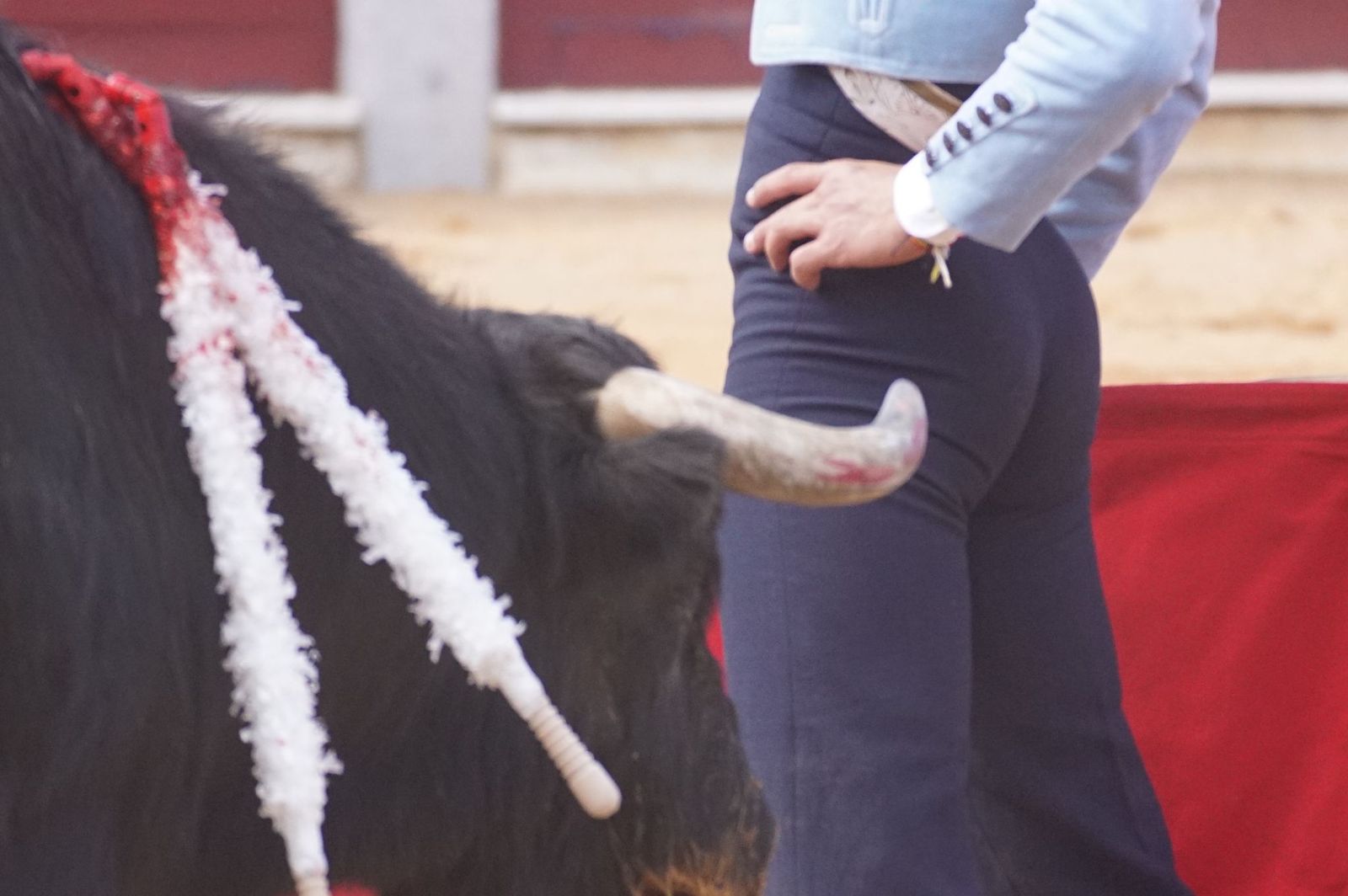 Festival taurino solidario por la esclerosis múltiple en Guijuelo