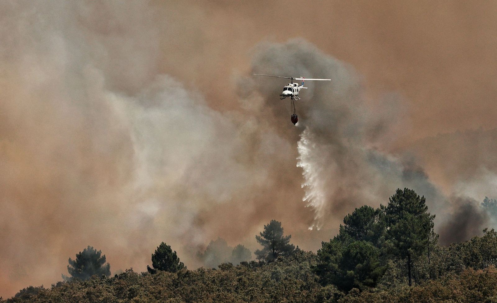 Incendio forestal en El Payo. Fotos ICAL Jose Vicente  (3).jpg