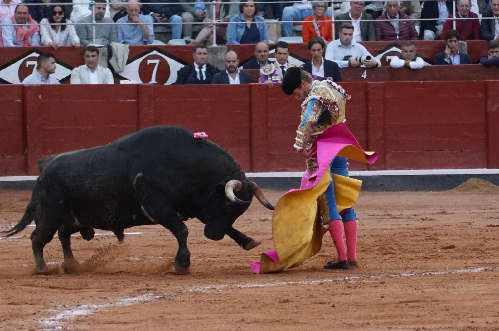corrida-concurso-momentos-mas-destacados-del-ultimo-festejo-de-abono-de-la-feria-taurina-virgen-de-la-vega-2024-fotos-carlos-h-g-y-juanes-13