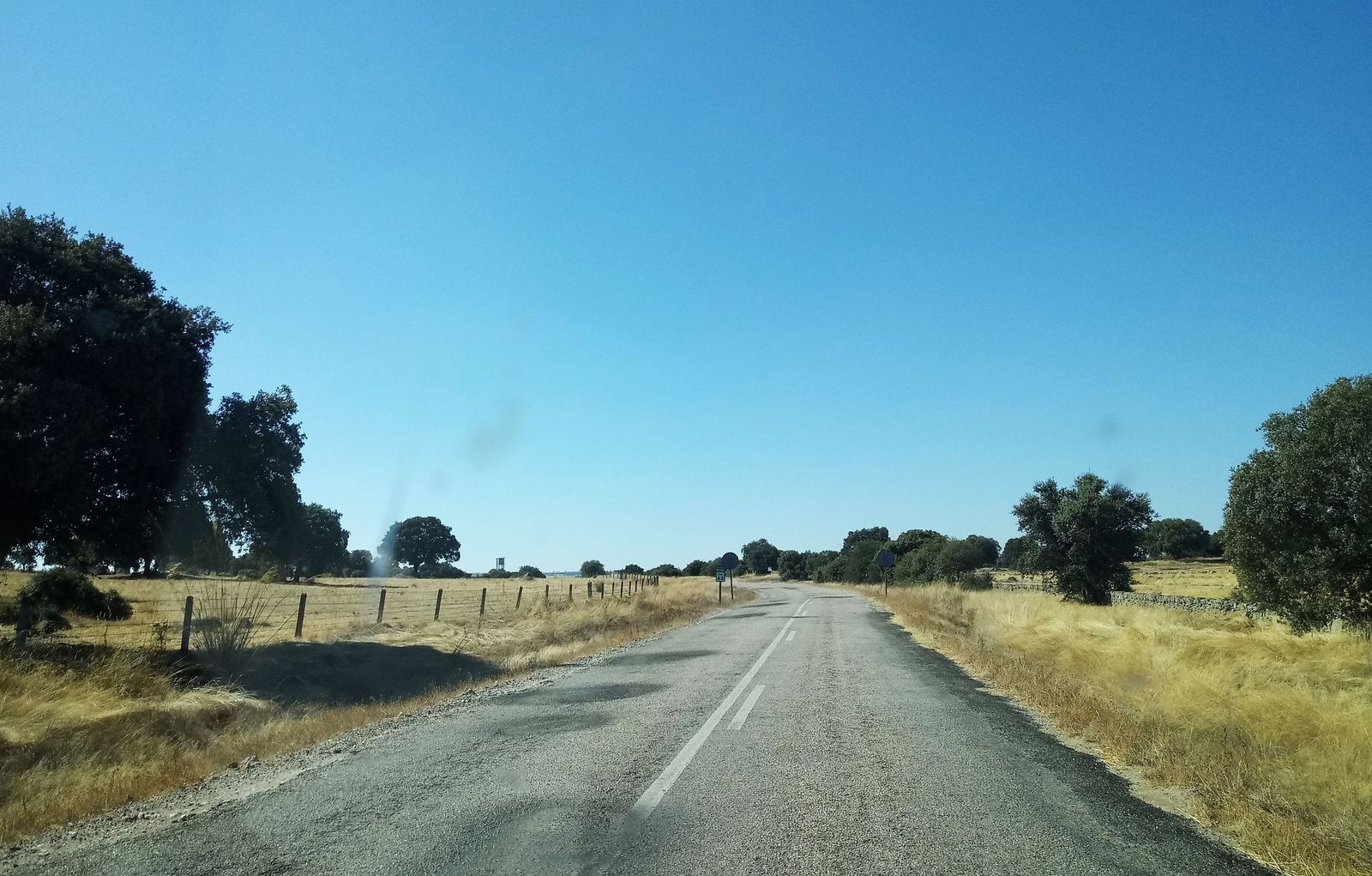 Tramo de la SA 305 entre Ledesma y el límite con la provincia de Zamora (2).