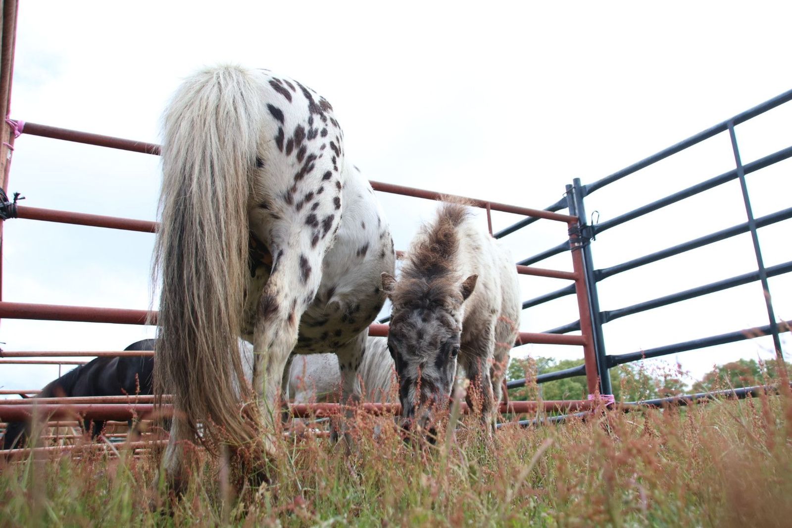 20240501103017-img-2901