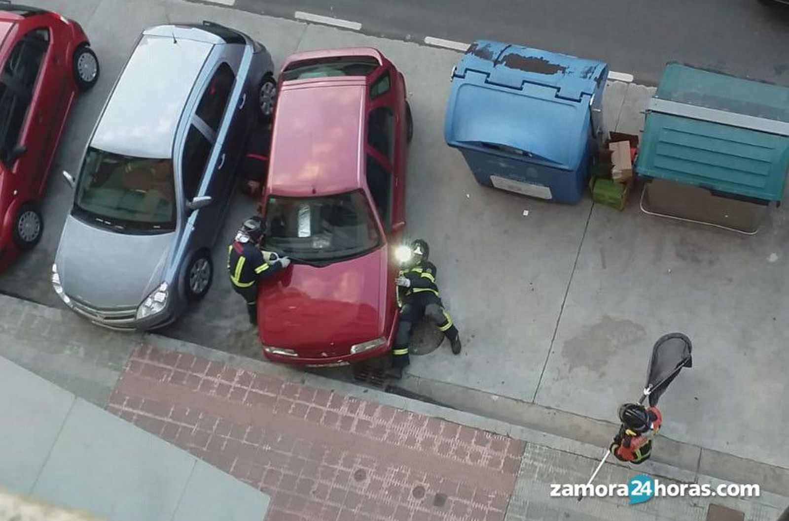 Rescate gato bomberos