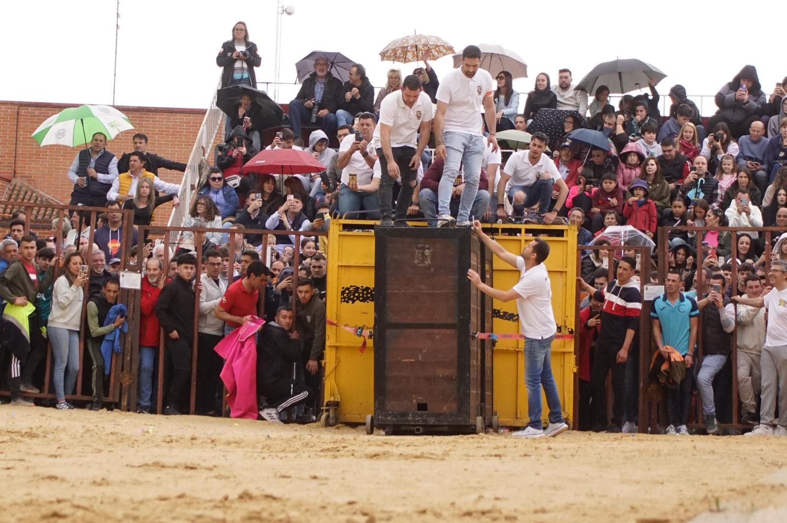 Villoria, toro del Voto