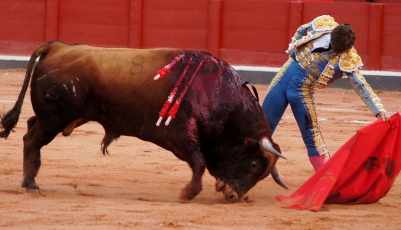 Julián López El Juli (2)