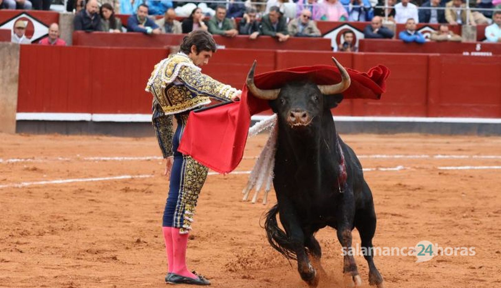 GALERÍA | Corrida de García y Olga Jiménez: momentos más destacados del tercer festejo de abono de la Feria Taurina Virgen de la Vega 2023. Fotos Andrea M.
