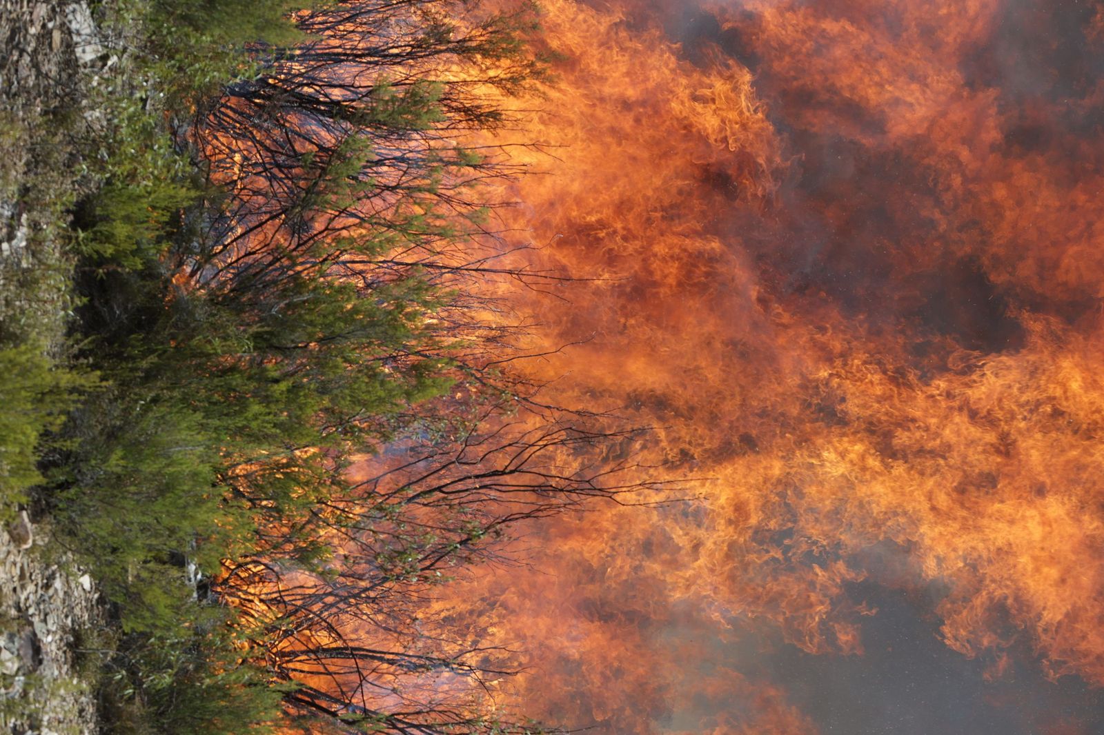 GALERÍA | Las imágenes de la lucha contra el fuego en Puercas