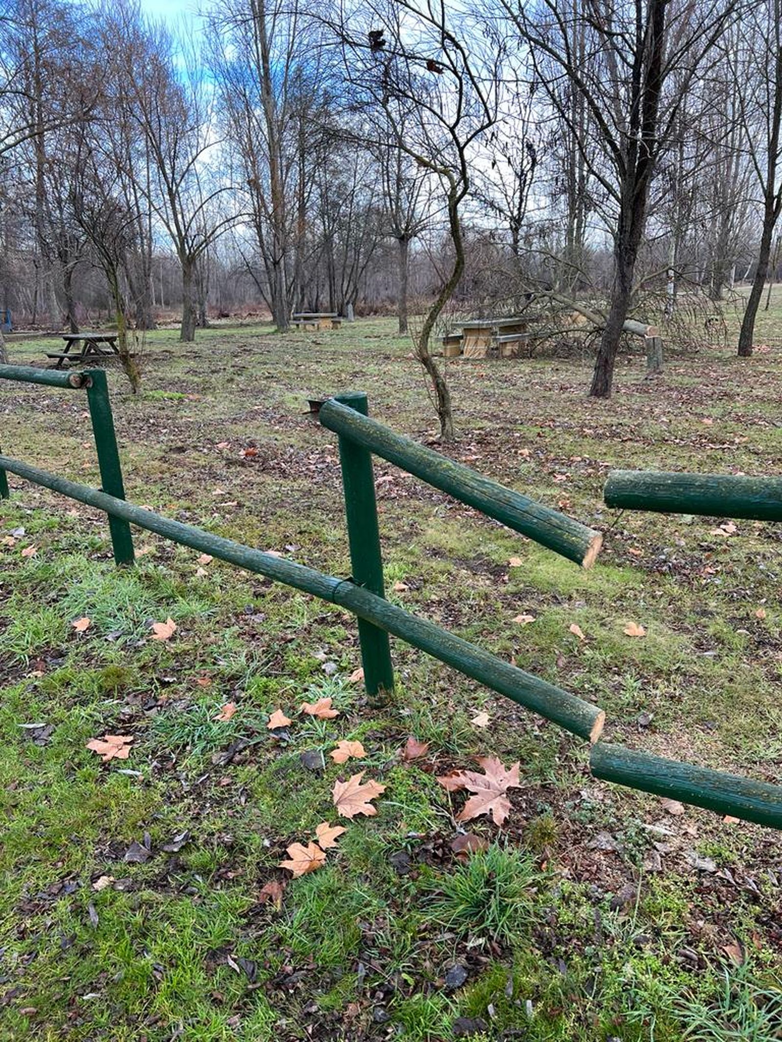 whatsapp-image-2024-01-04-at-13-16-44-2