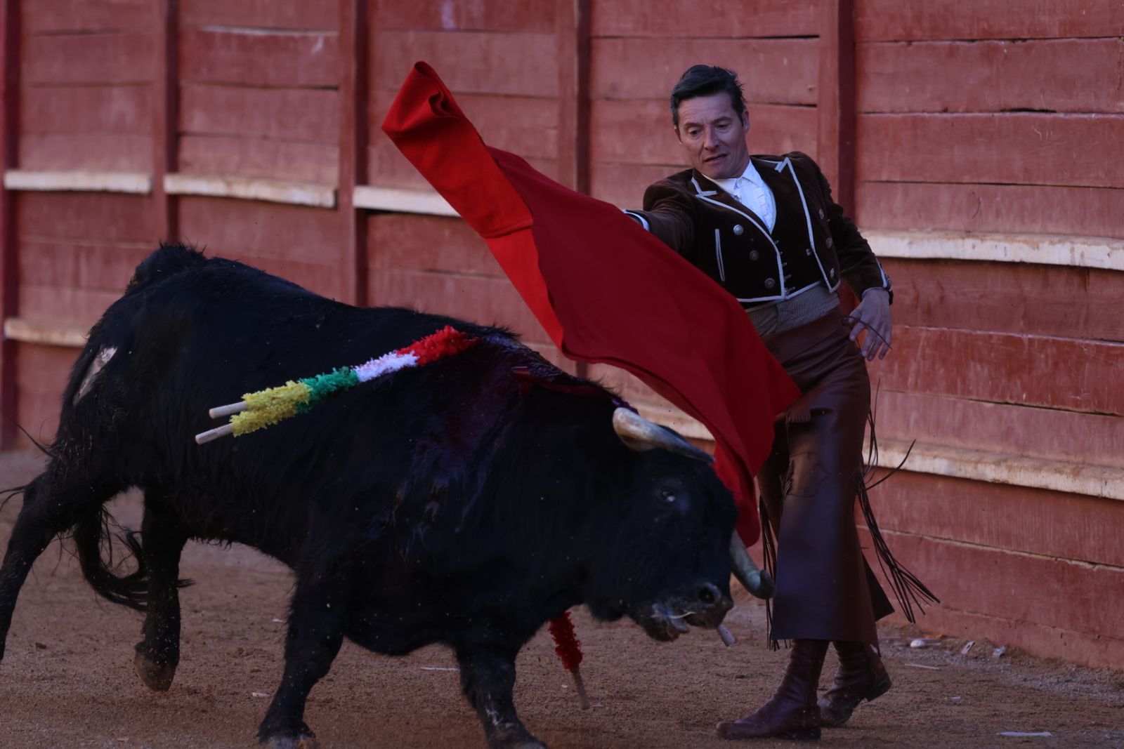 Festival taurino del Sábado en el Carnaval del Toro 2026 de Ciudad Rodrigo