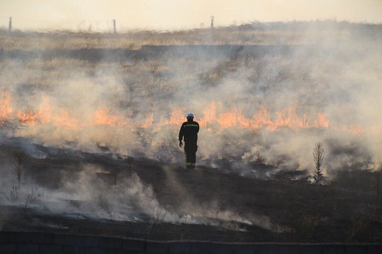 Extinguido el incendio de 20.000 metros cuadrados de rastrojos en Tejares