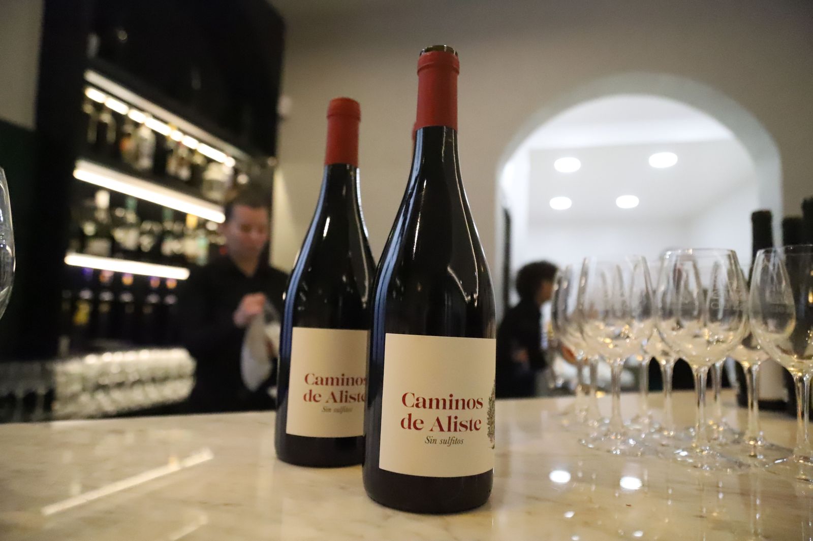 presentacion-de-los-vinos-de-la-sierra-de-la-culebra-1