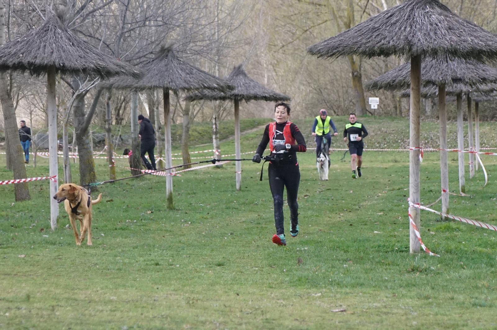 iv-canicross-alba-de-tormes-20