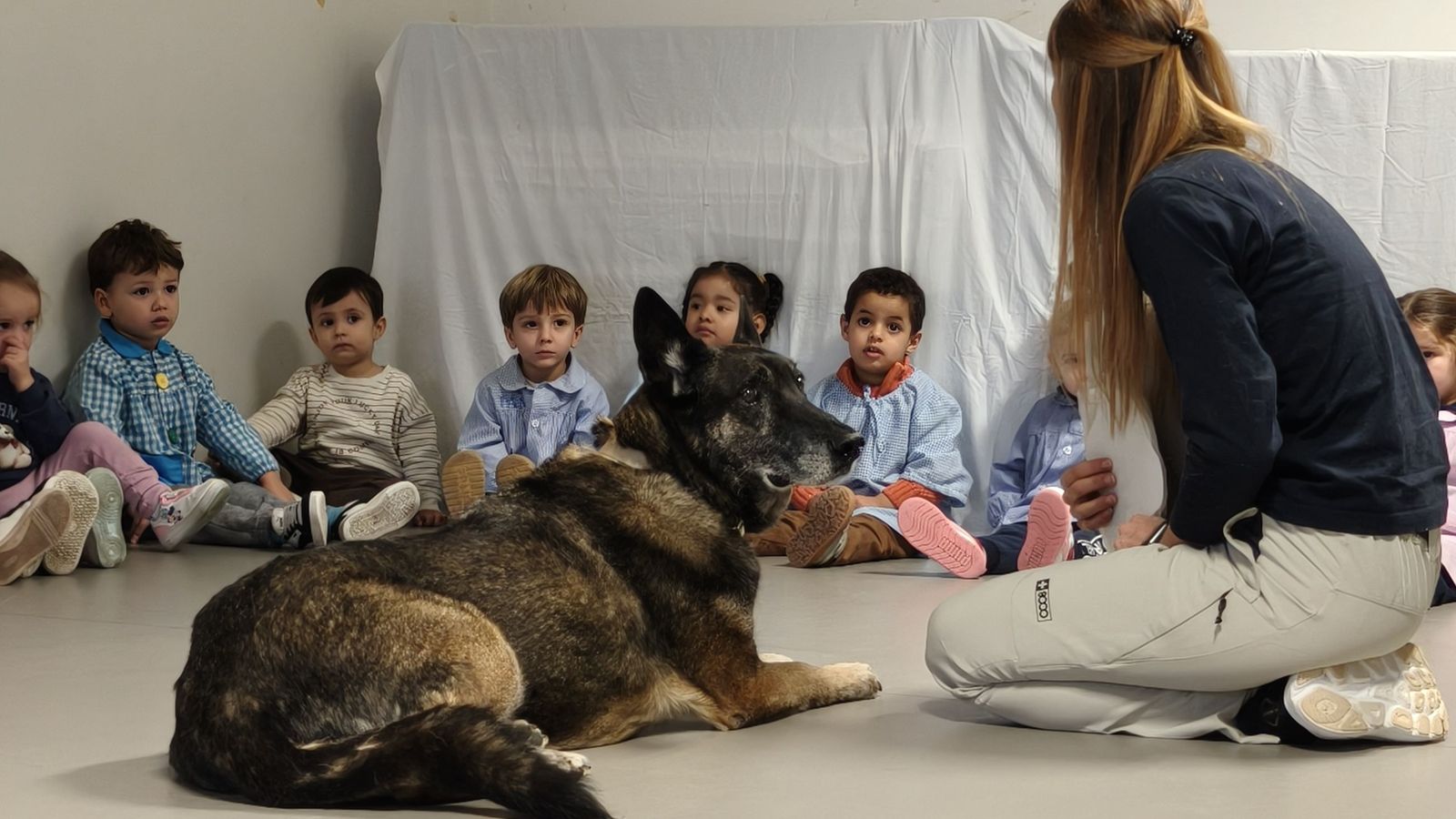 Talleres escolares de tenencia responsable de animales