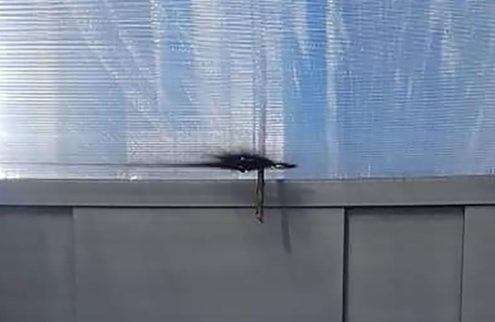 135197387 3590330004380989 6716847651166500667 n