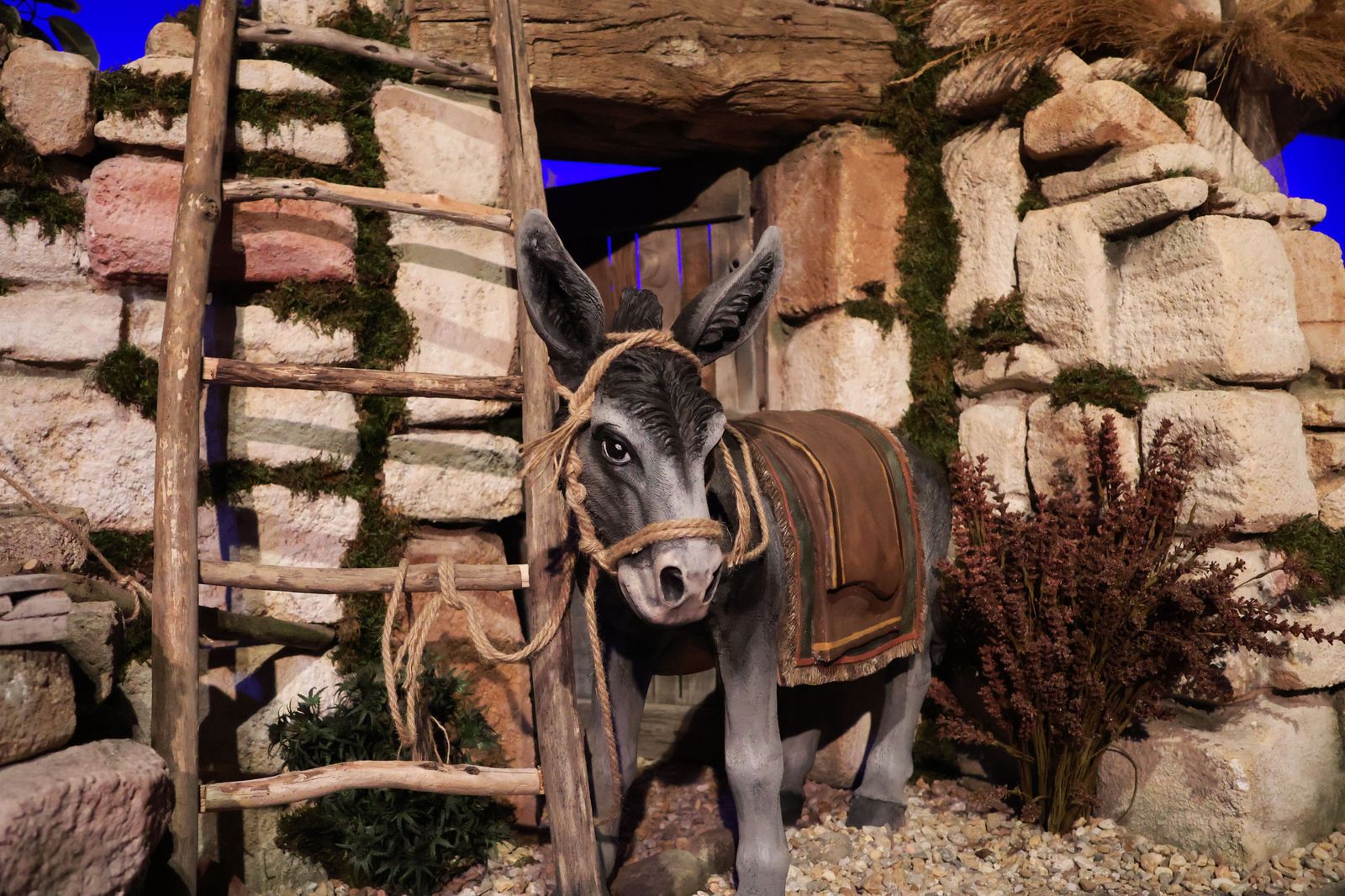 belen-municipal-en-la-iglesia-de-la-magdalena-3