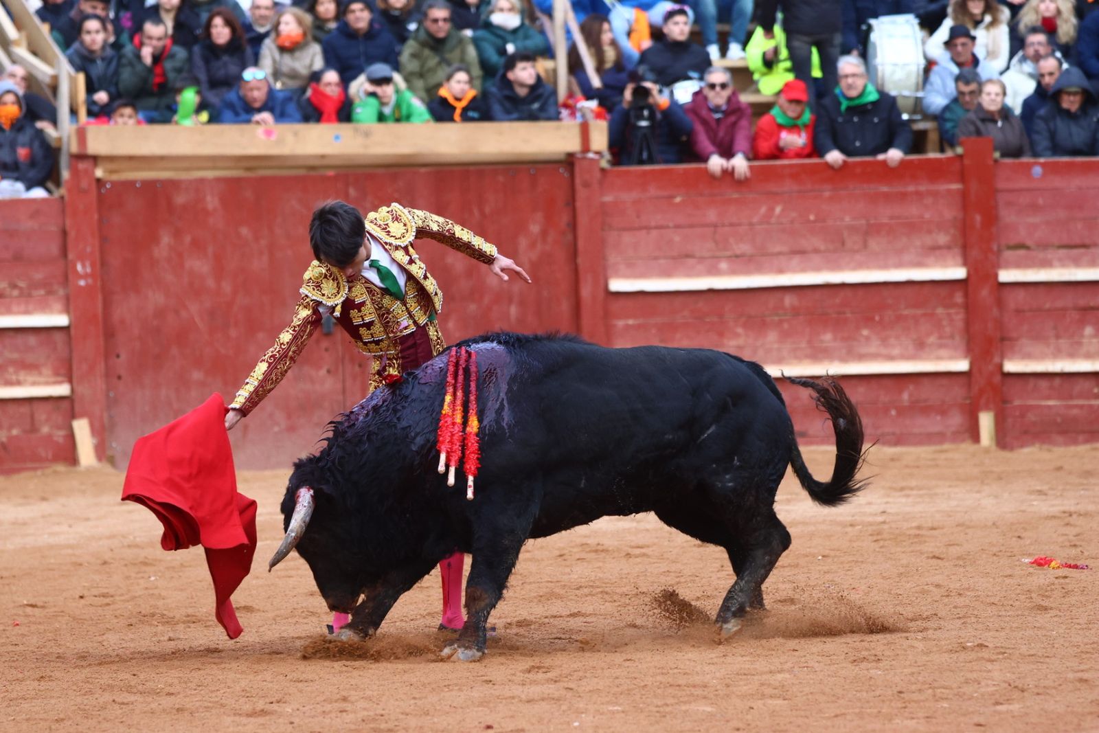 Novillada con picadores de lunes en el Carnaval del Toro de Ciudad Rodrigo 2026