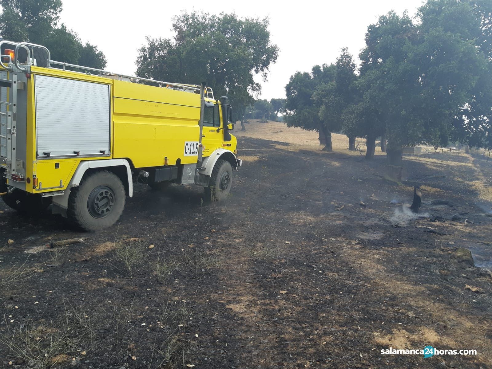 Incendio en valdelosa (2)