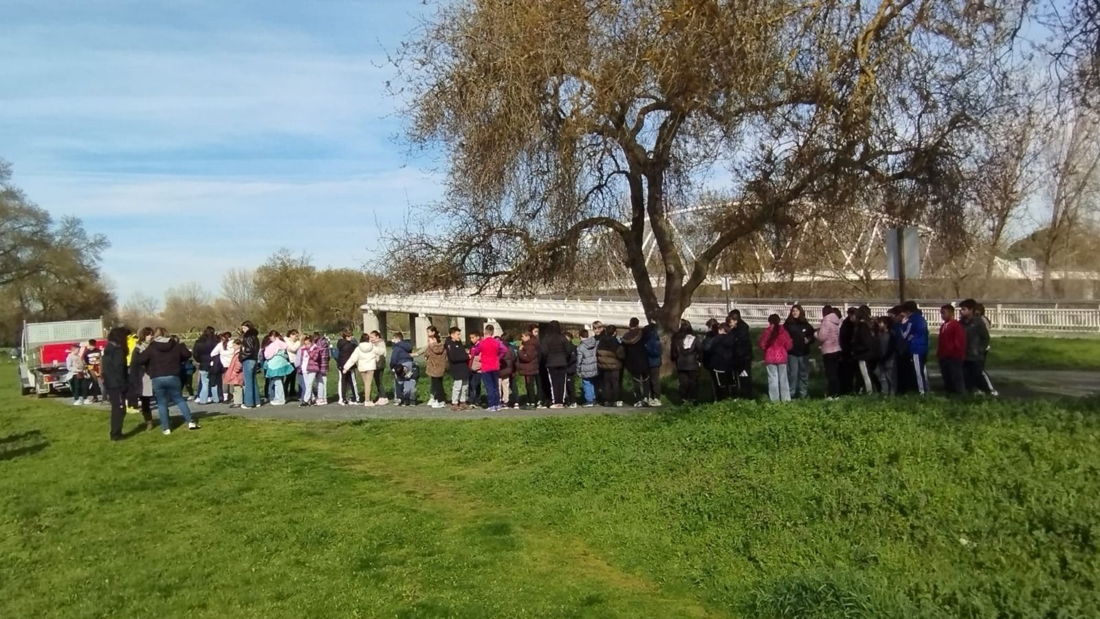 Reforestación isla del Soto en Santa Marta  (1)