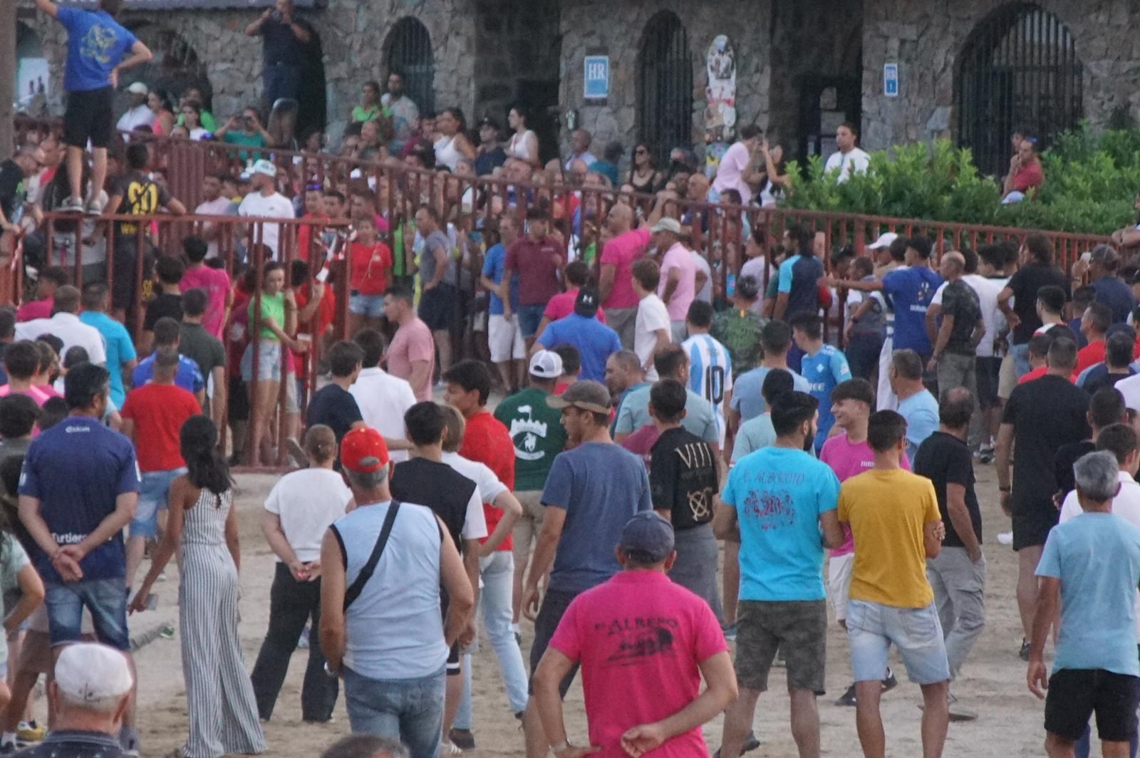 Pasión, tradición y calle: así se ha vivido en Ledesma el II Toro de Cajón