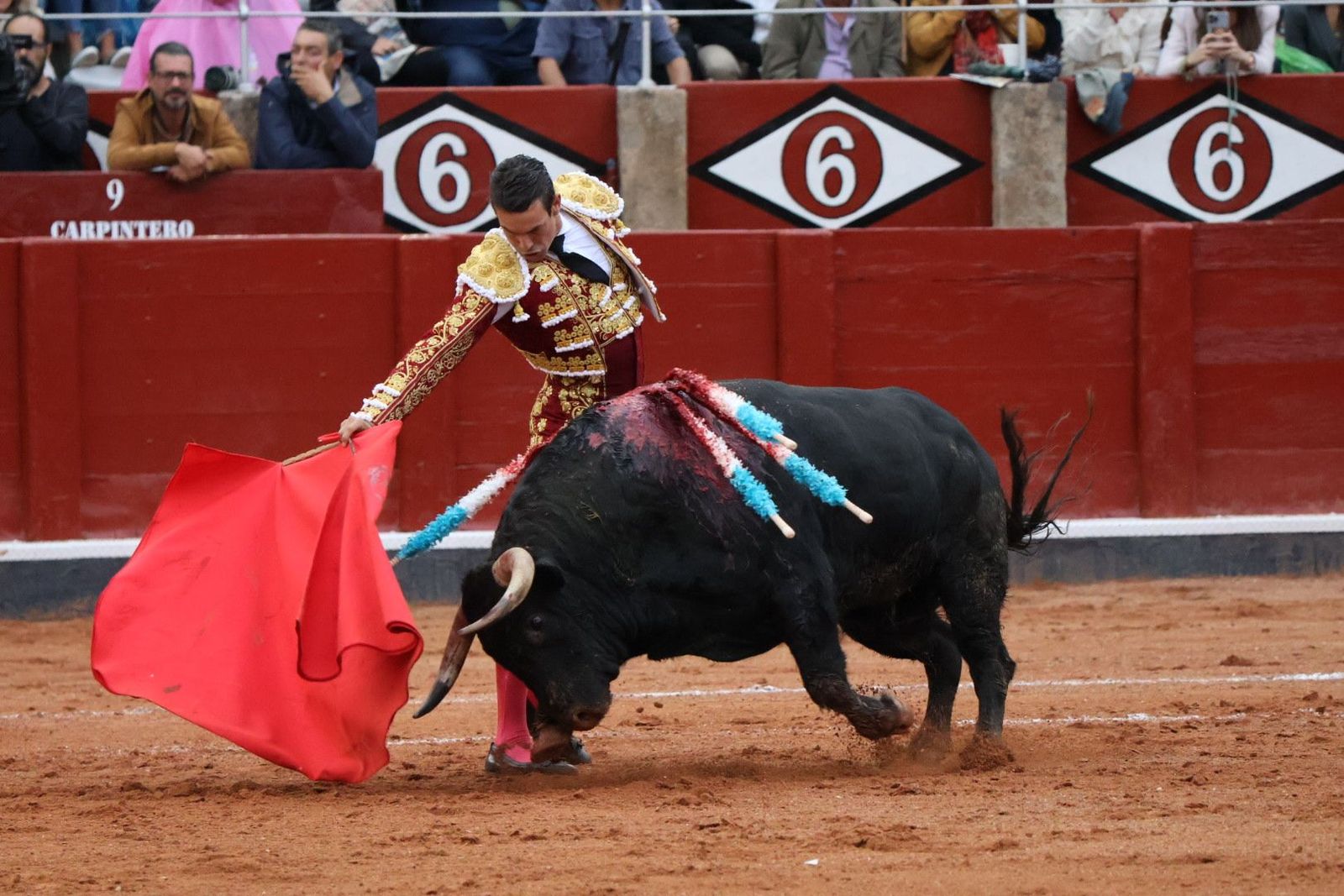 20230916185217-img-5622