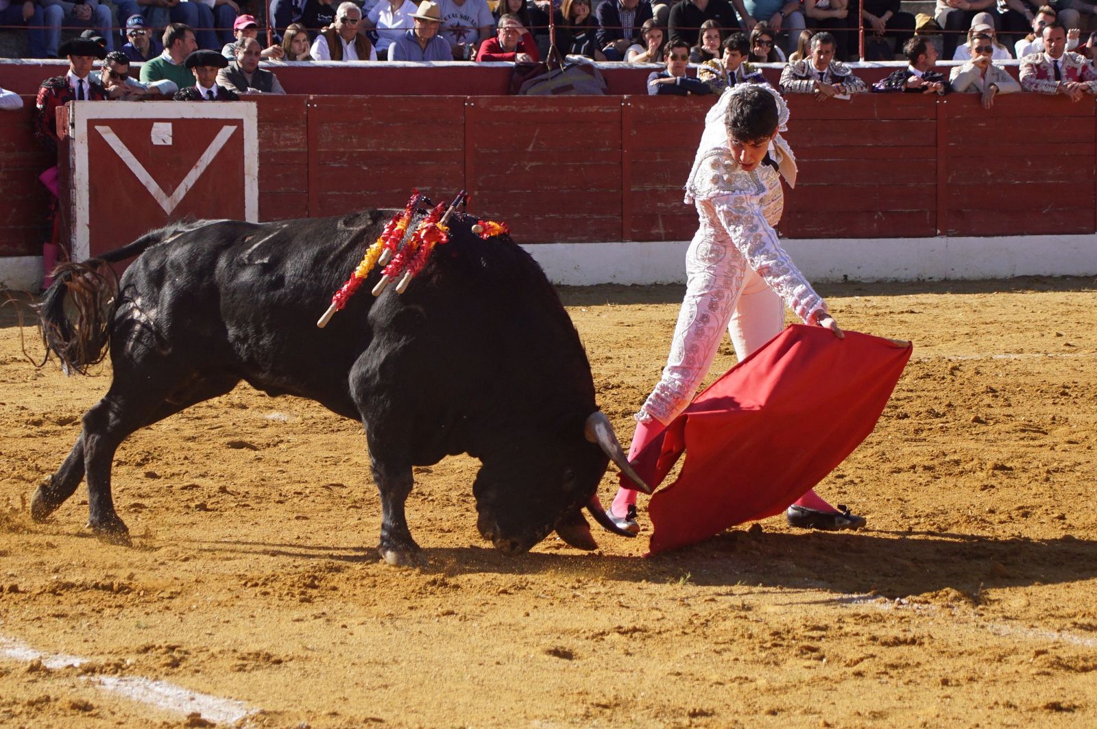 novillada-con-picadores-en-villoria-39