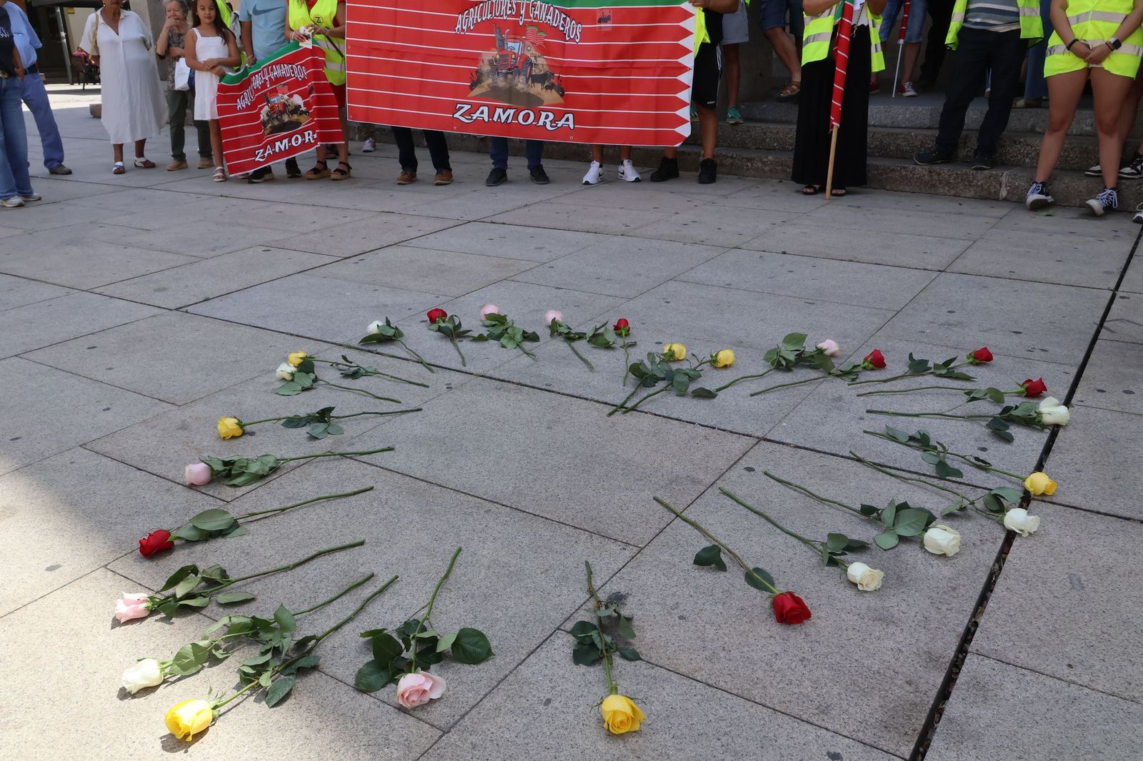 Marcha silenciosa en homenaje a David Lafoz (71).JPG
