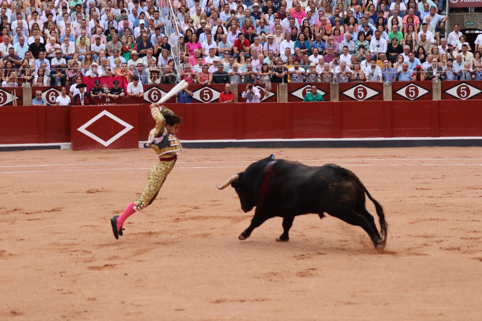 Ismael Martín, Marco Pérez y el aclamado regreso de Morante de la Puebla: su paso por La Glorieta en imágenes