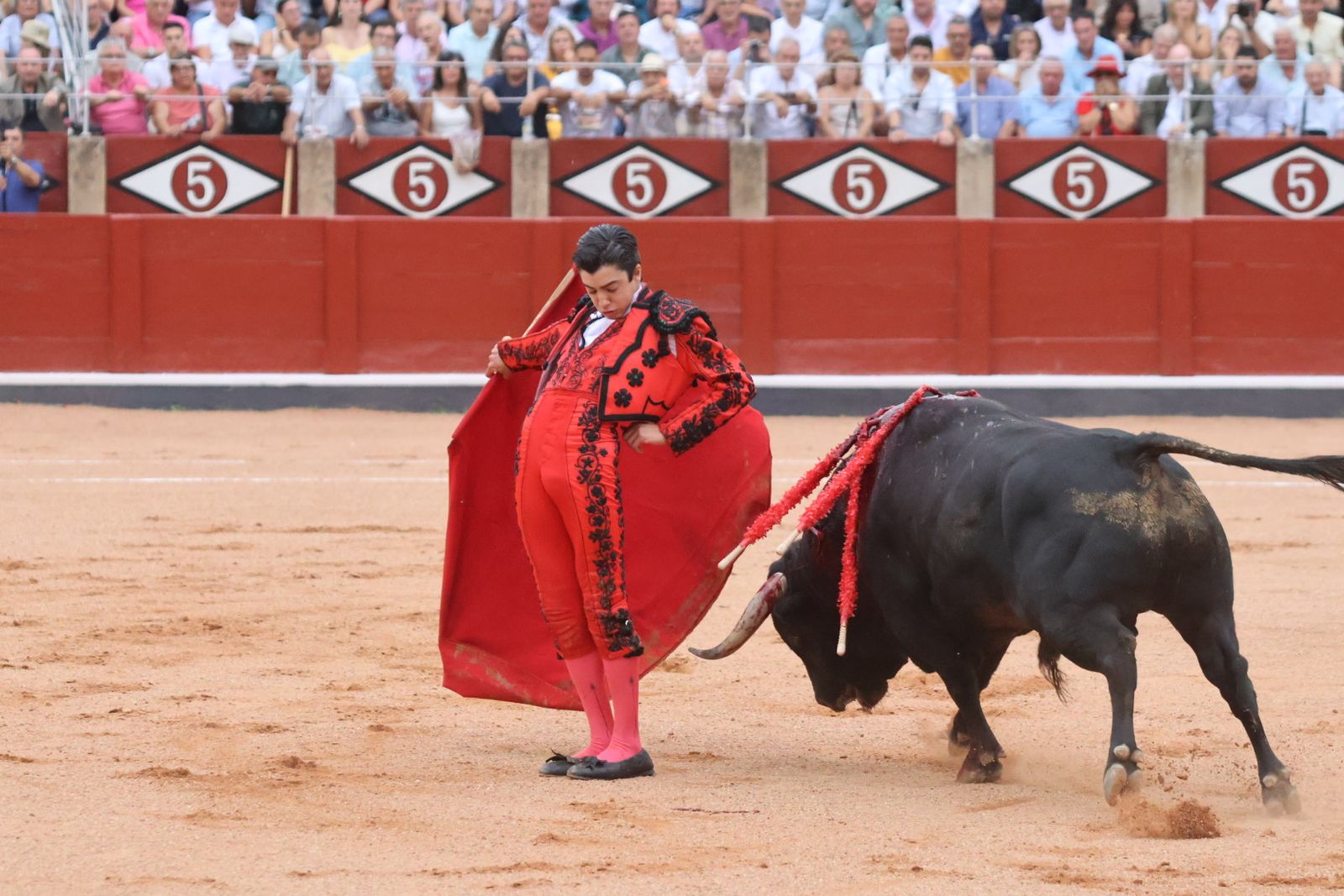 Ismael Martín, Marco Pérez y el aclamado regreso de Morante de la Puebla: su paso por La Glorieta en imágenes