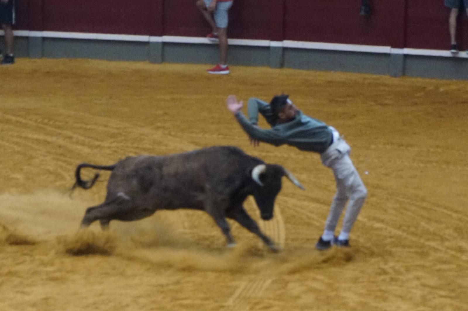 Encierro y capea en Alba de Tormes