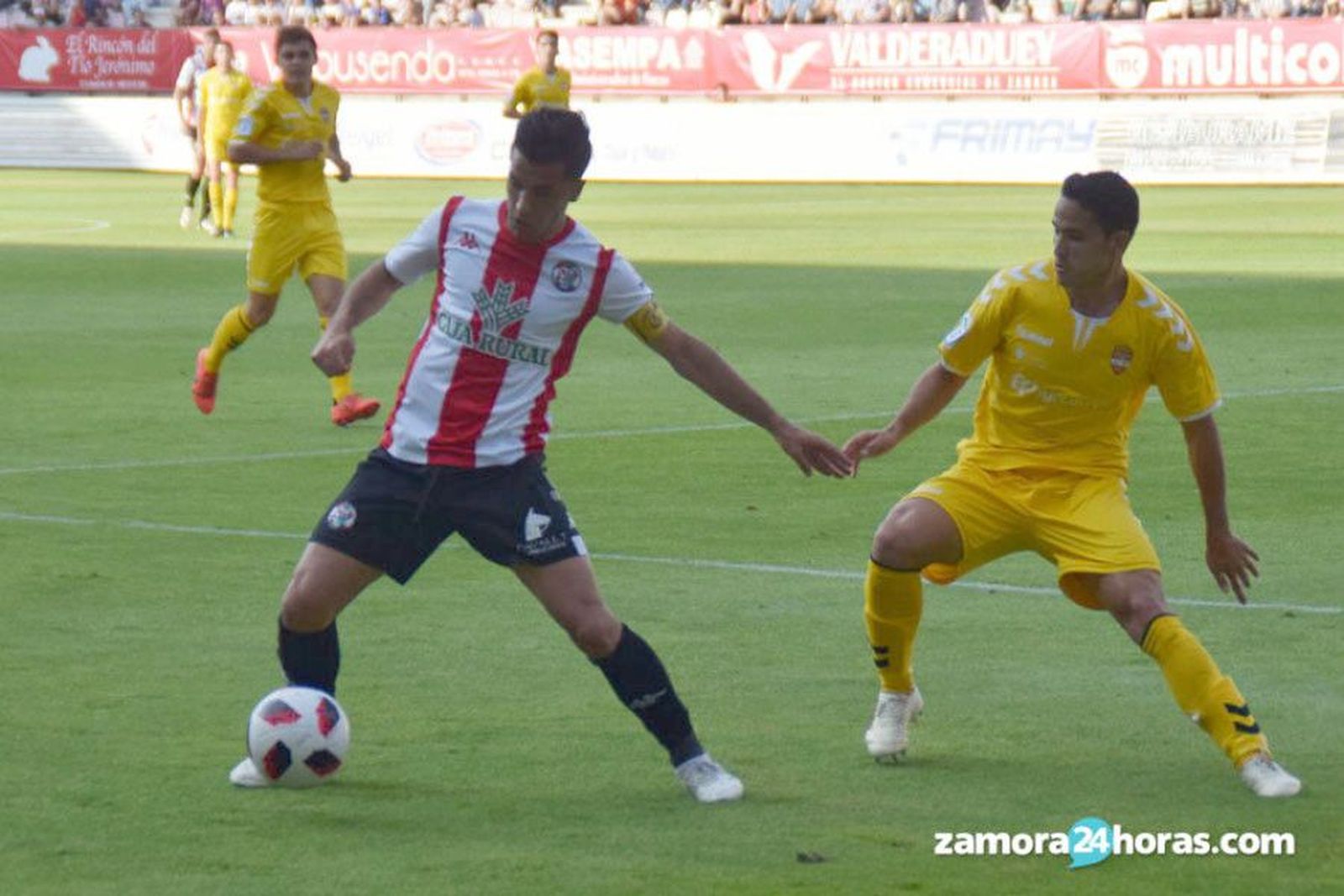 Alvaro molina zamora