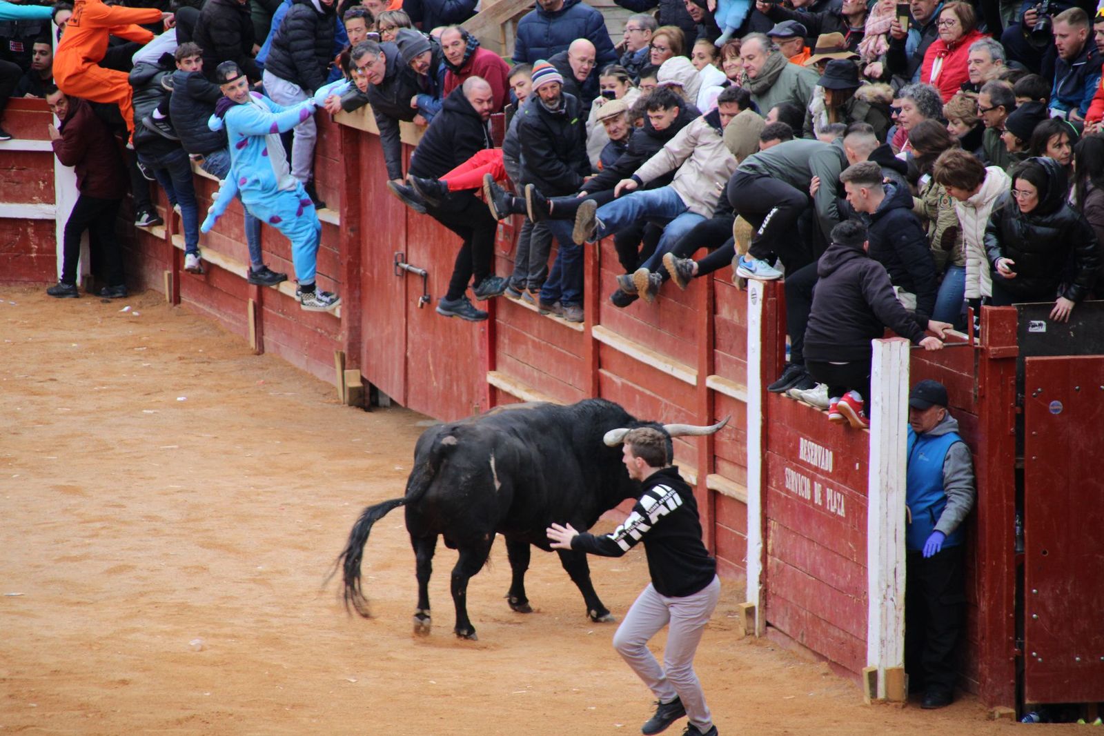 whatsapp-image-2025-03-01-at-13-18-49-1