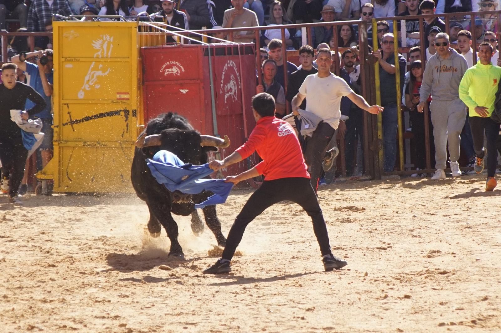 whatsapp-image-2025-04-26-at-19-02-17