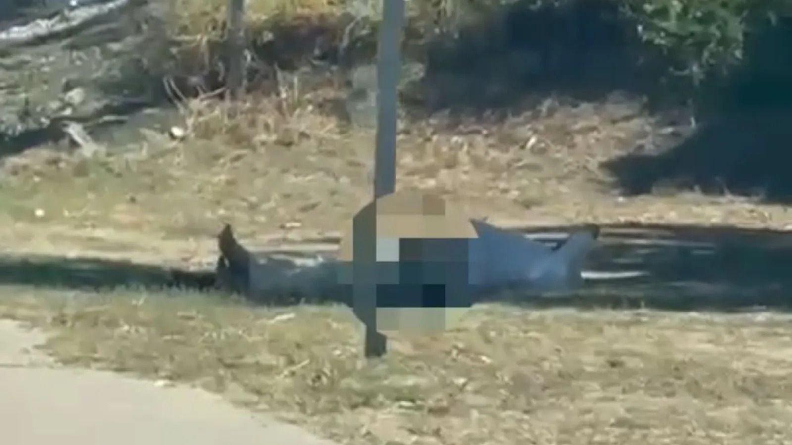 Hombre masturbándose a la entrada de Alba de Tormes