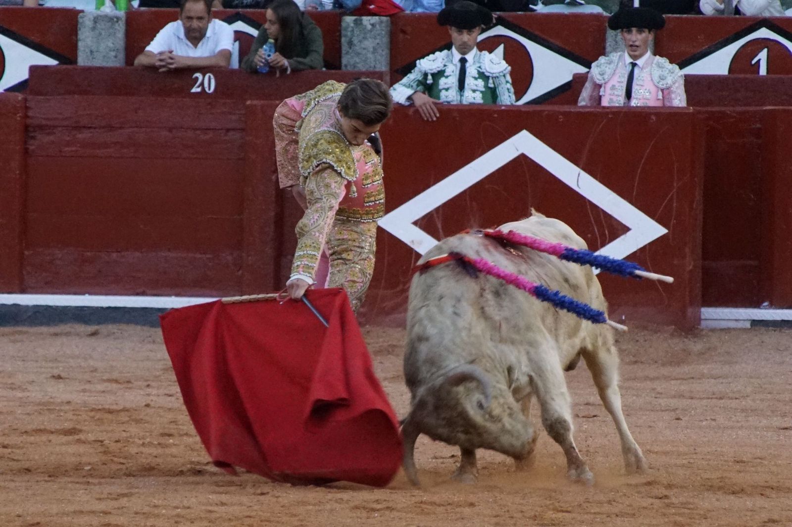 whatsapp-image-2022-09-08-at-9-21-59-pm