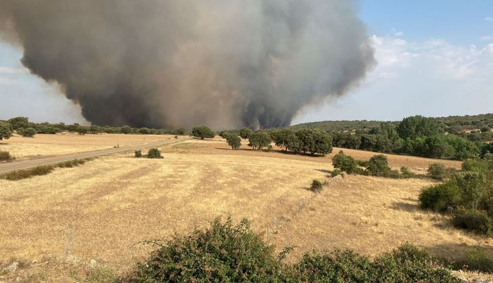 Incendio en Losacio (3)