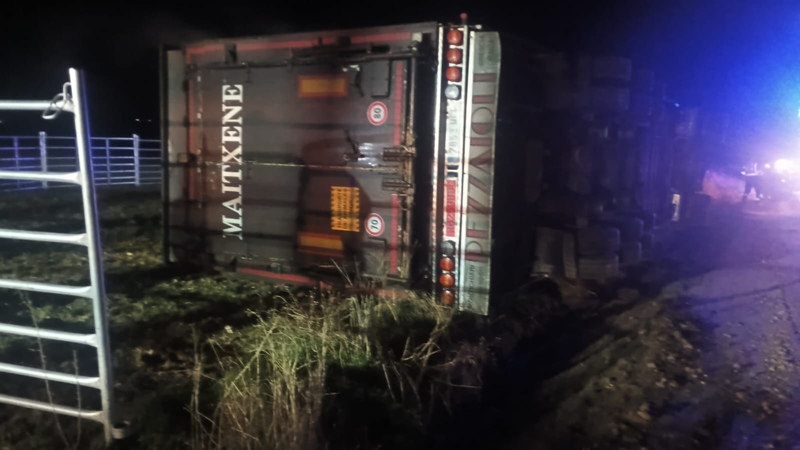 Vuelca un camión cargado de ganado en la SA-114 y deja varios animales muertos