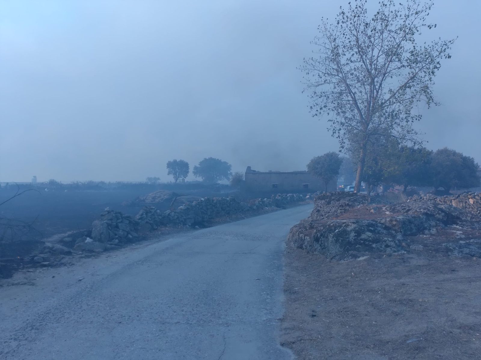 El Groo quemado tras el incendio de Cipérez (6).jpeg