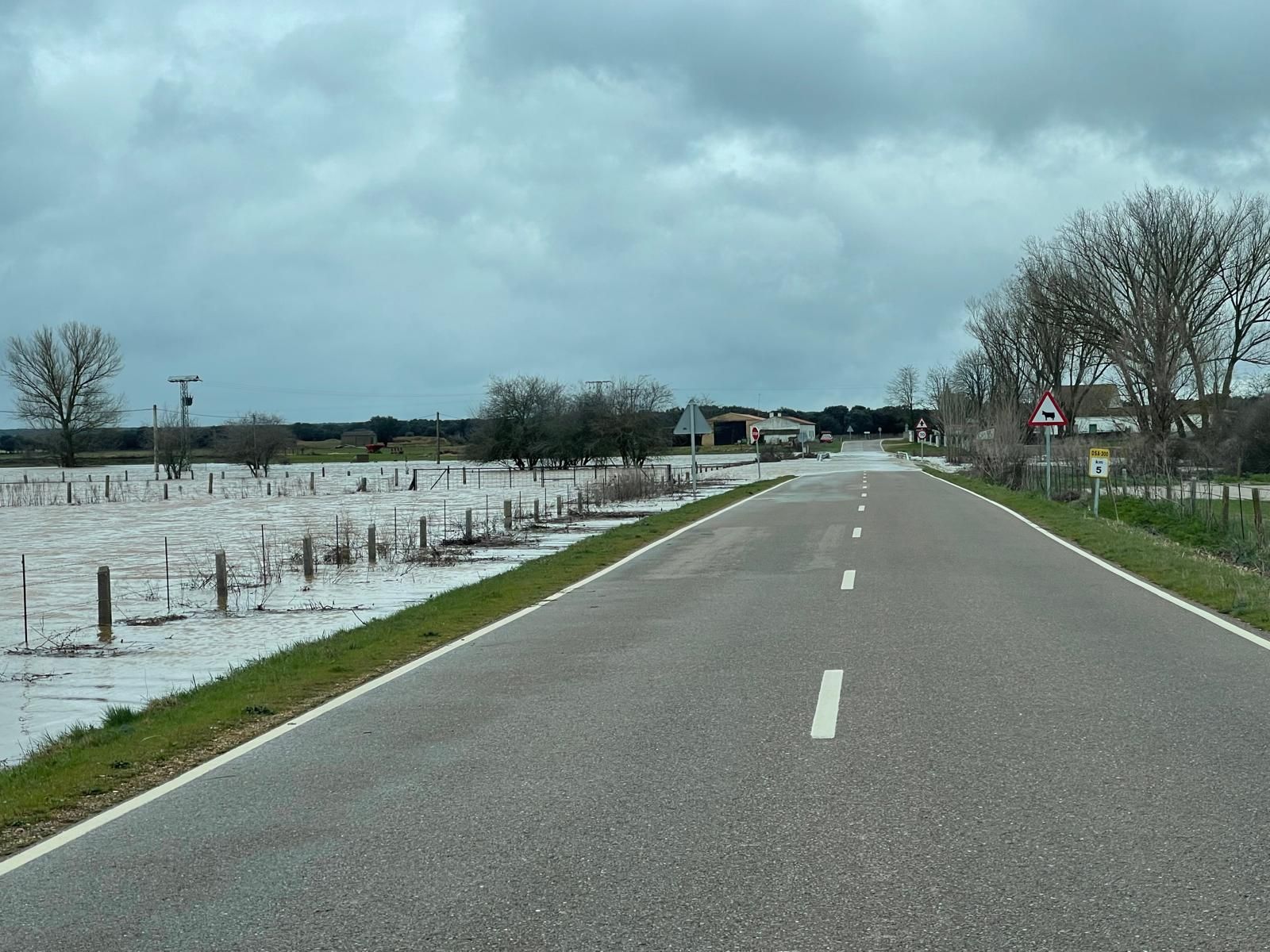 Inundada la  DSA-310, en la carretera de Matilla de los Caños (5).jpeg