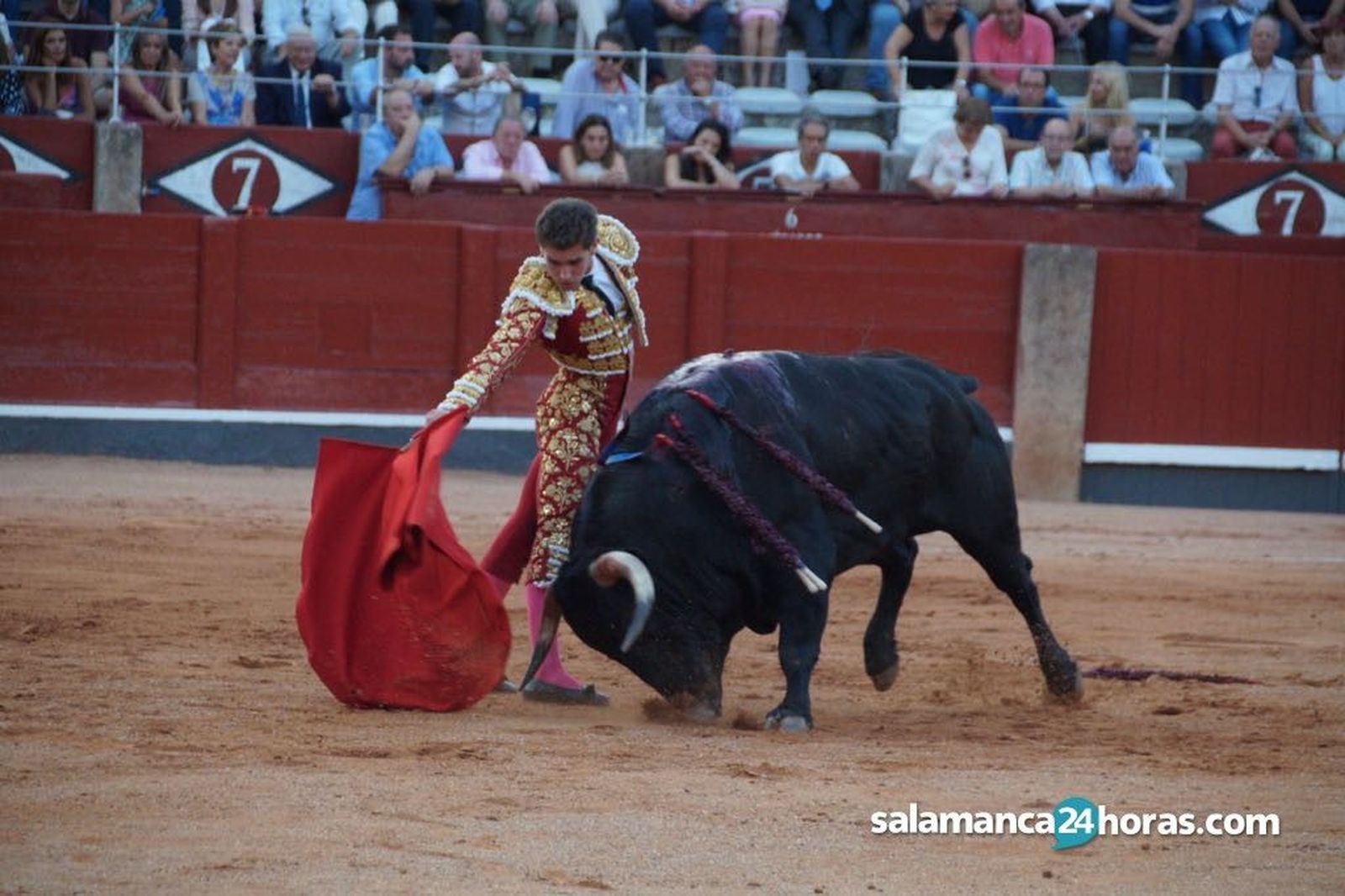 Gines marin Gines marin