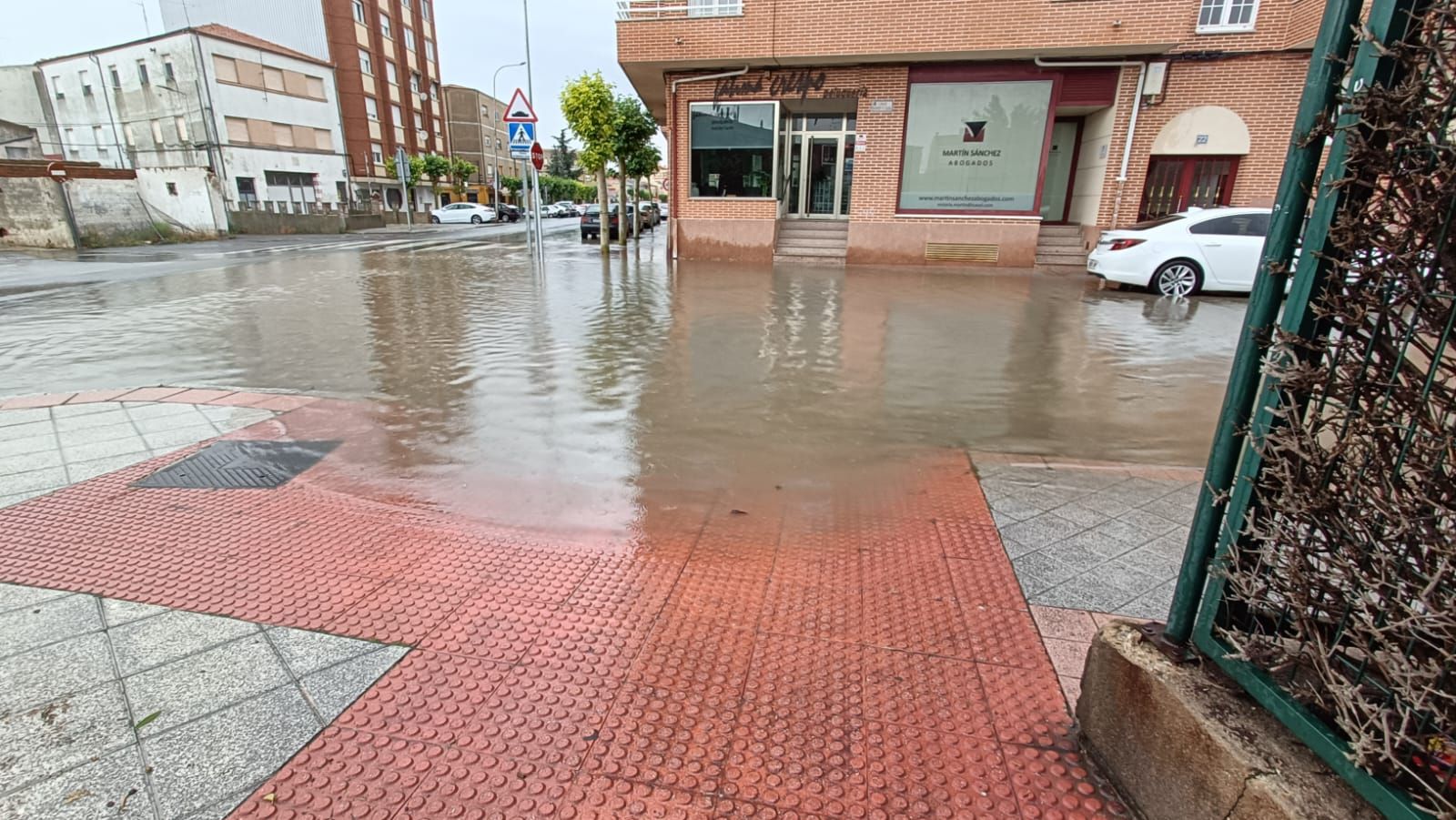 whatsapp-image-2023-06-01-at-16-06-11-1