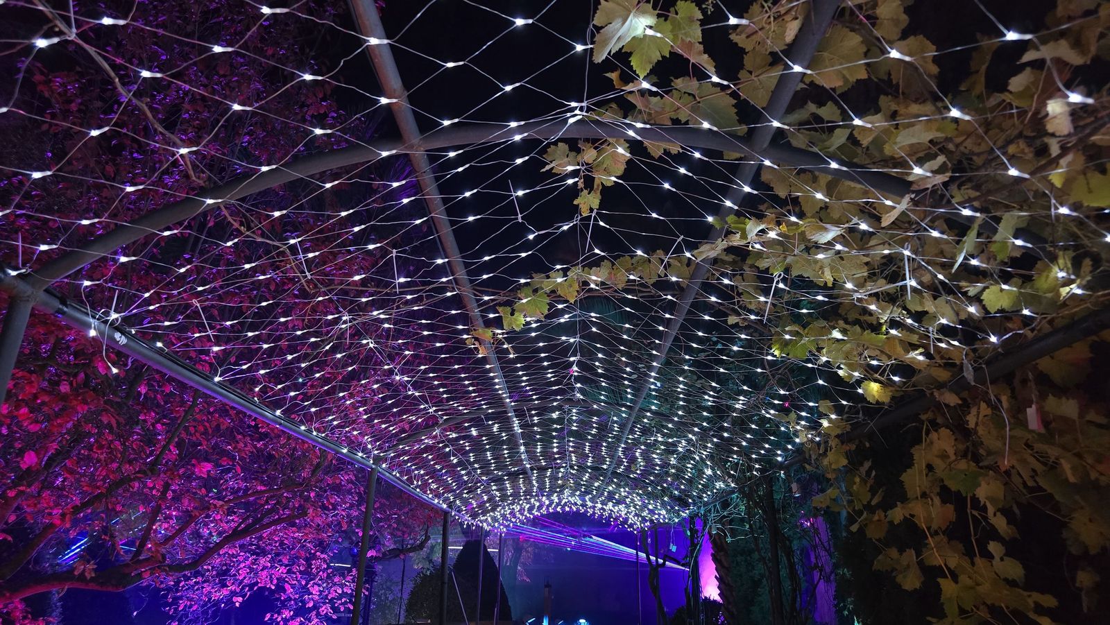 Pase para gráficos del ‘Jardín mágico del Huerto de Calixto y Melibea’