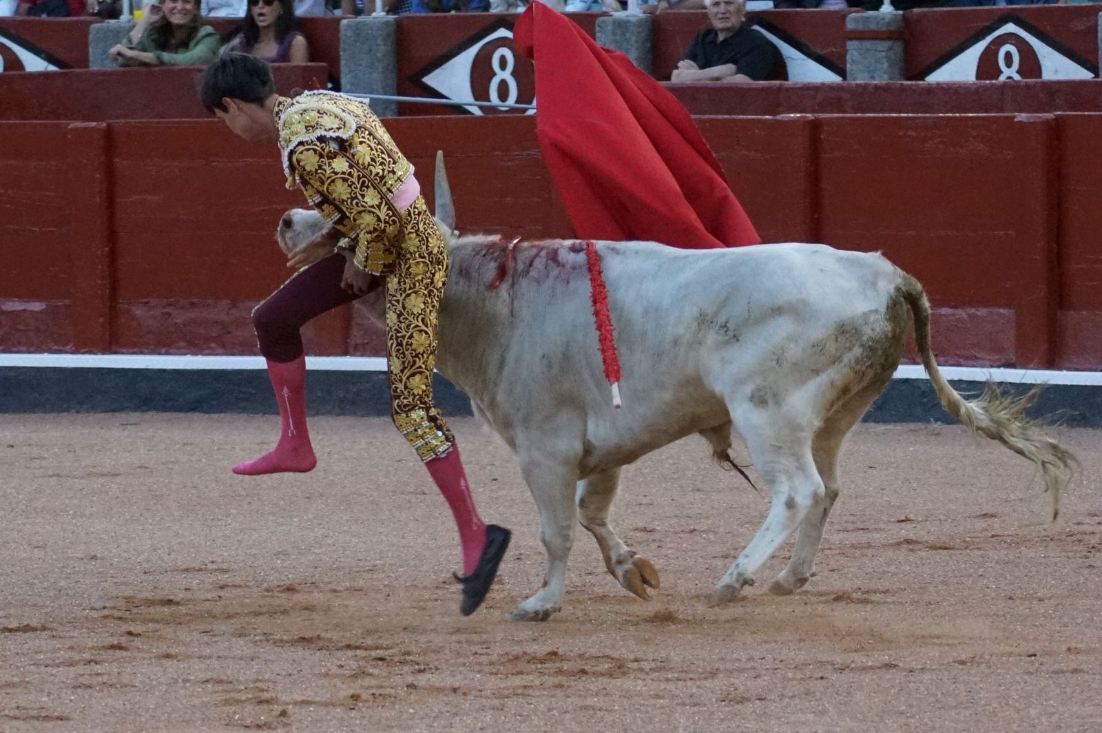Clase práctica con alumnos de la Escuela de Tauromaquia de Salamanca (Diego Mateos, Noel García y Álvaro Rojo con erales de Esteban Isidro)