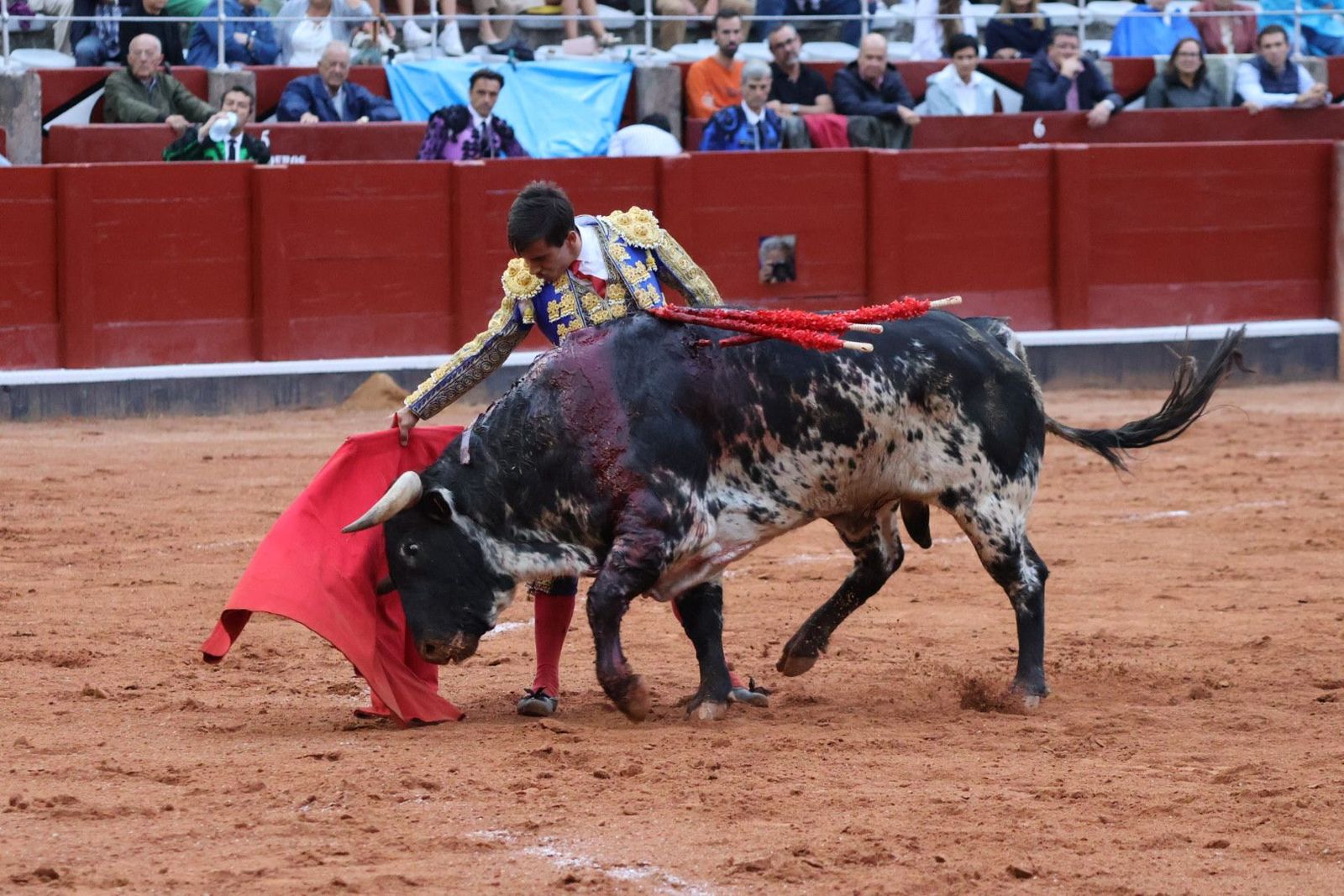 20230915185934-img-4292