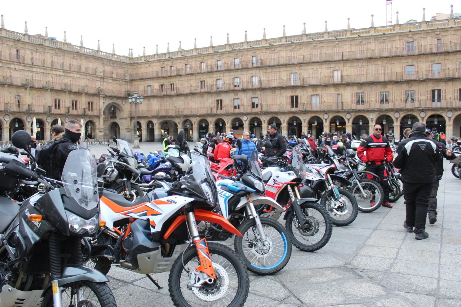 whatsapp-image-2025-03-02-at-10-18-52-11