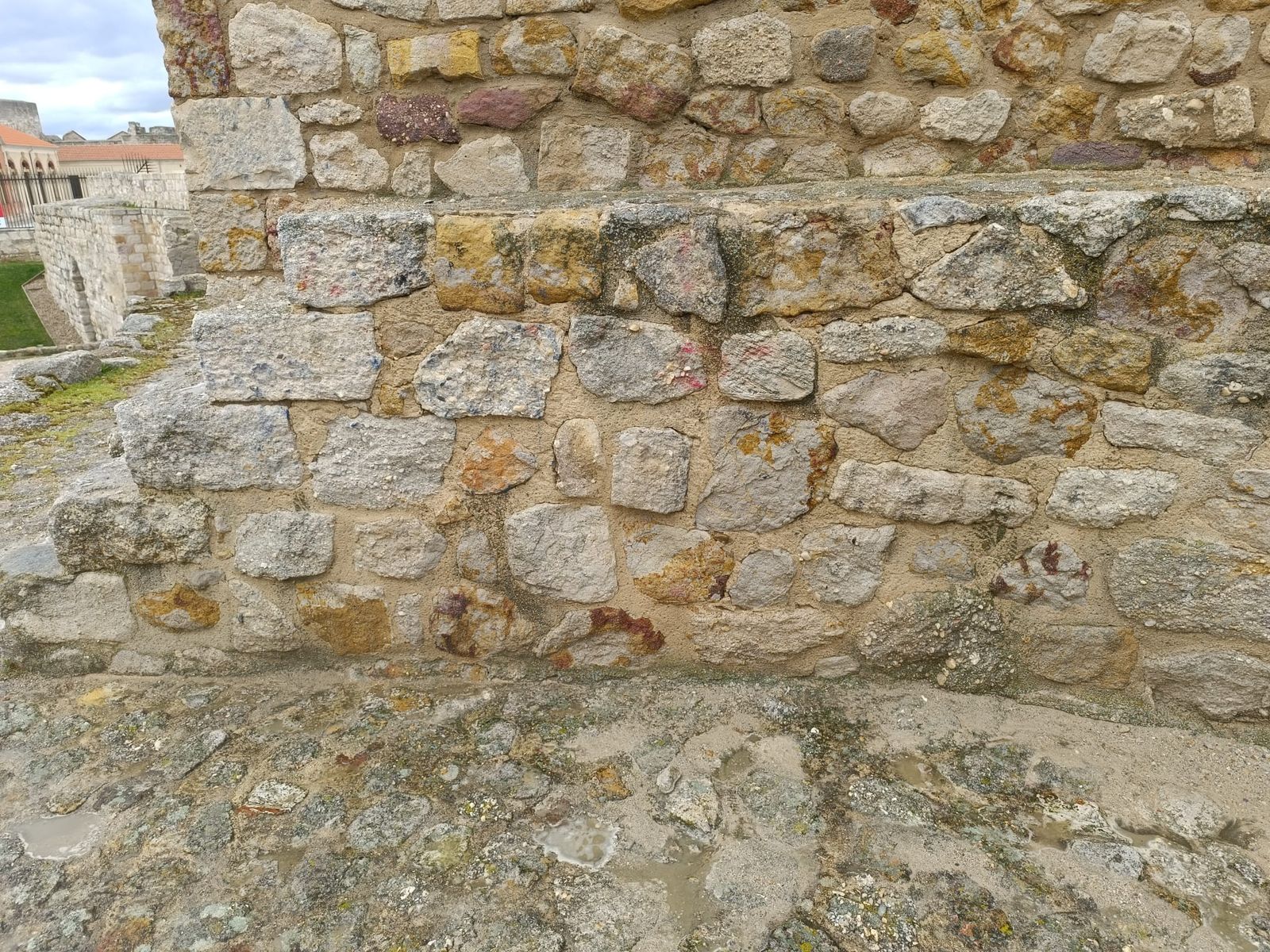 Limpieza muralla San Isidoro (8)