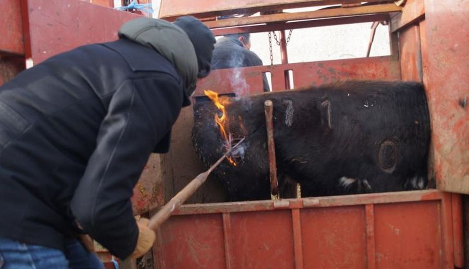 Hermanos Cambronell (5)