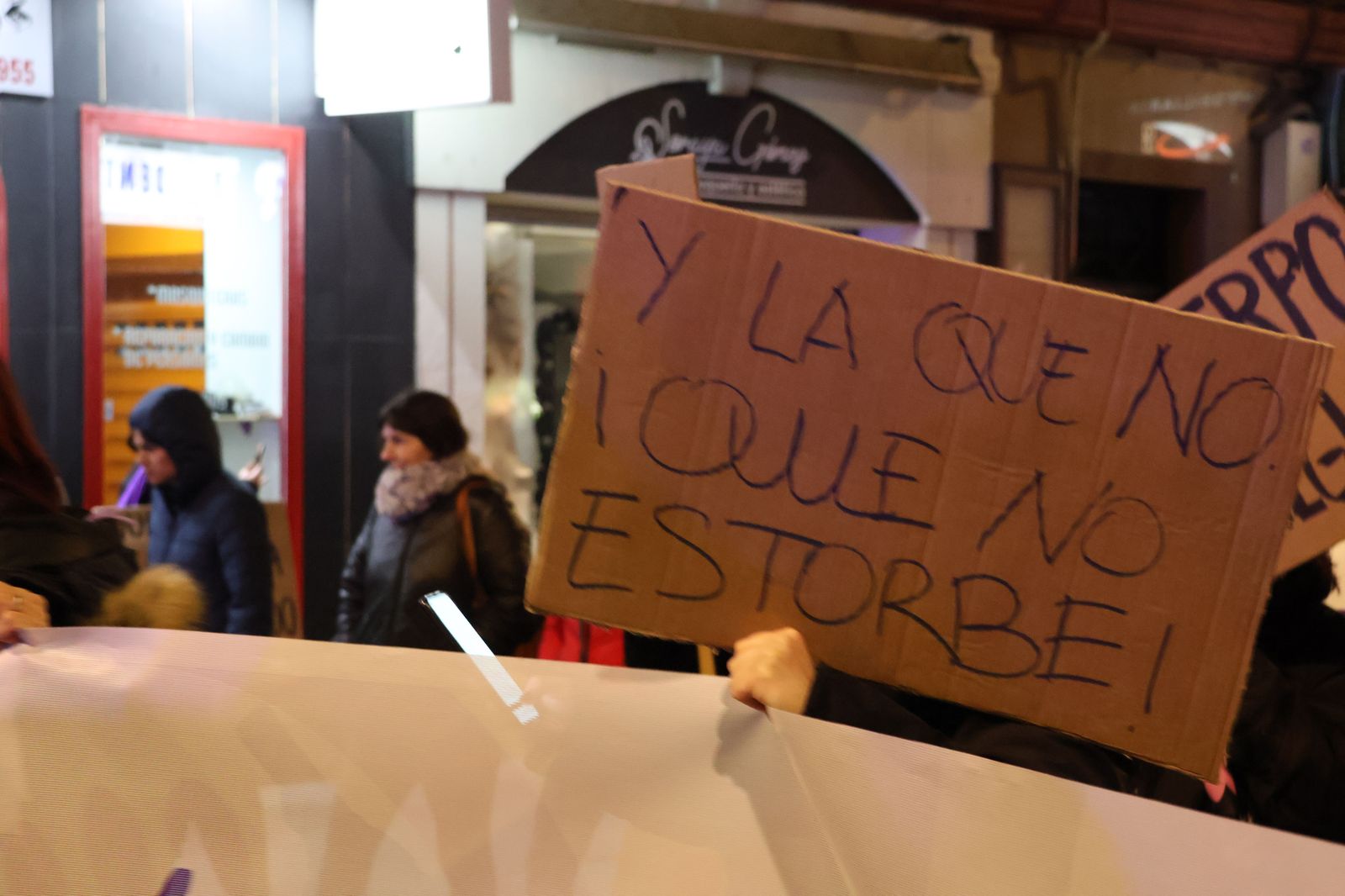 marcha-del-8m-en-zamora-41